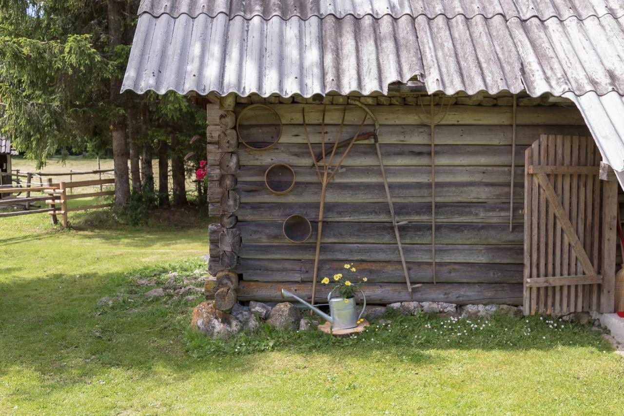 Zalin Planinski Raj Goreljek Exterior foto